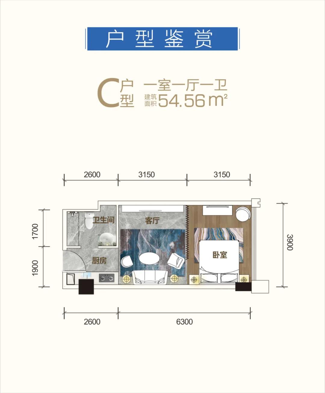 赫山区高新活力城C户型