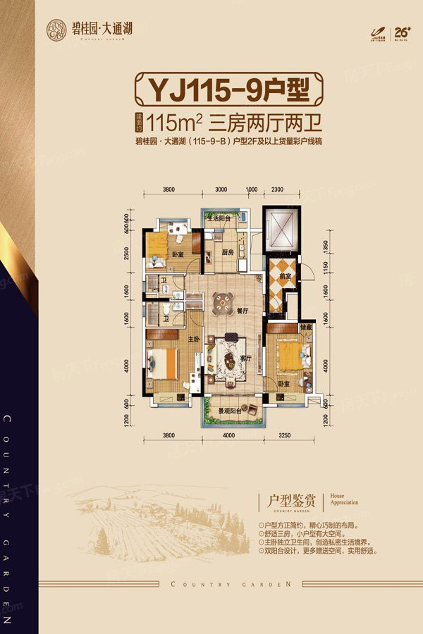 大通湖碧桂园YJ115户型