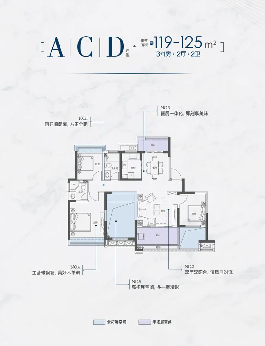 耒阳铜锣湾广场ACD户型