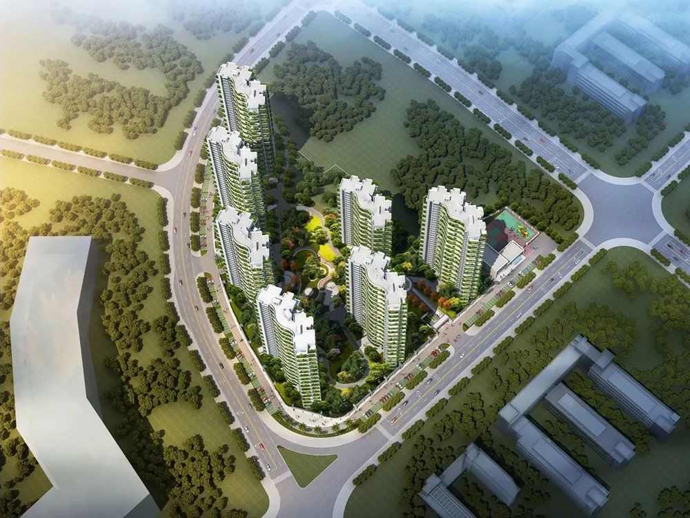 实景图