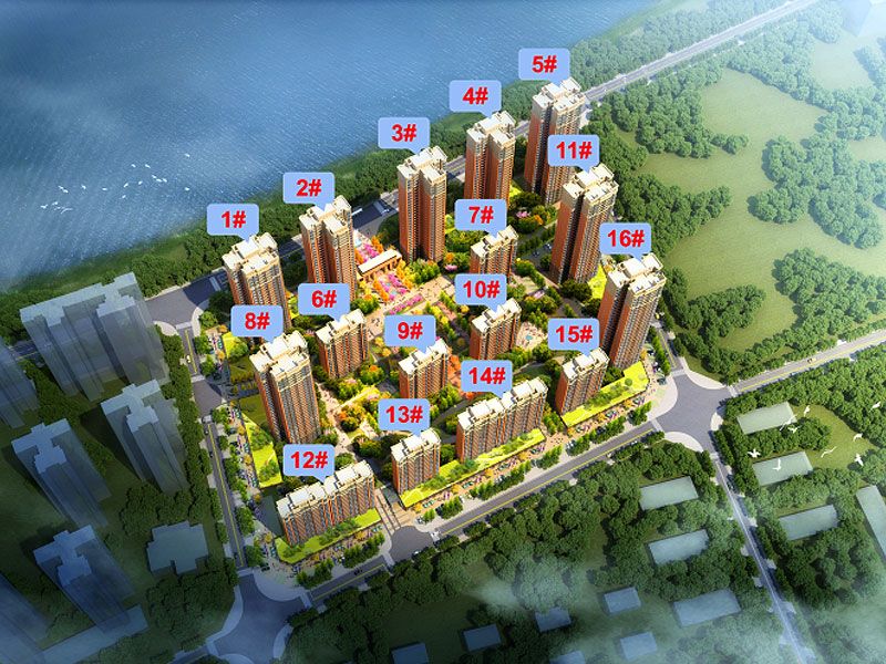实景图