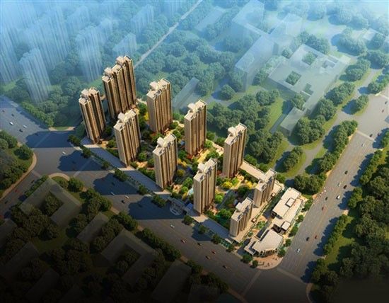 实景图