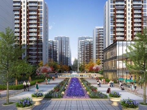 实景图