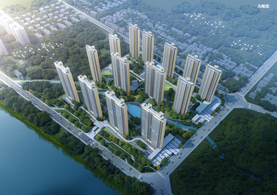 实景图
