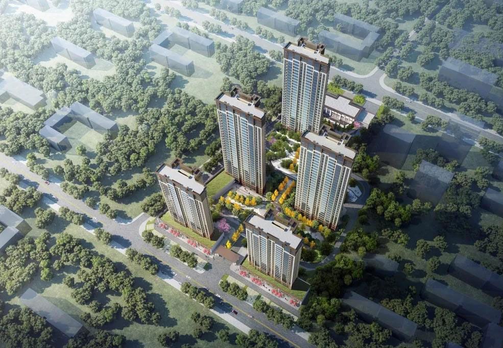 实景图