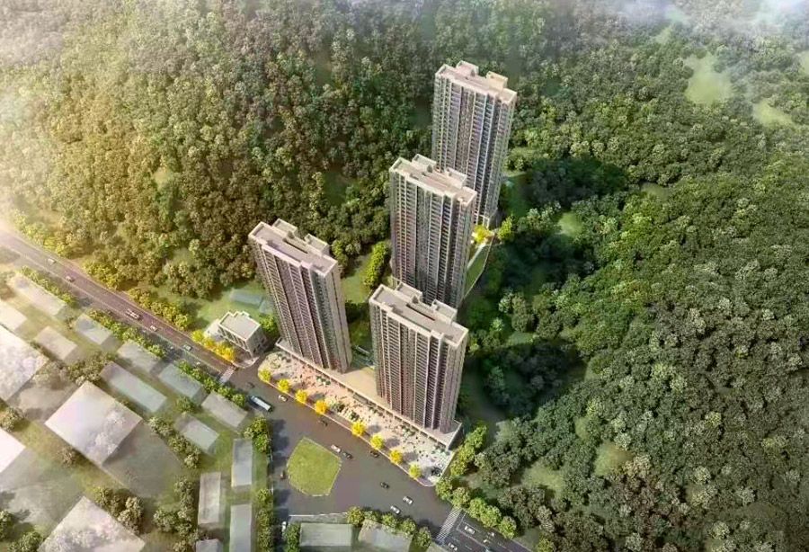 实景图