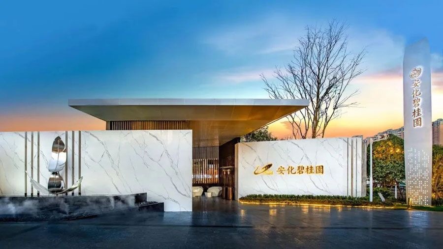 效果图